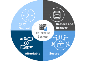 Enterprise Backup Service Wheel